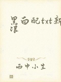 黑白配txt新浪