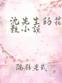 沈先生的花式调教小说