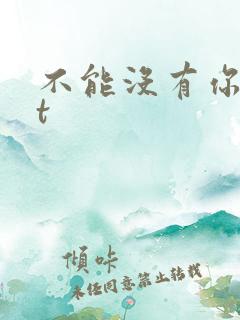 不能没有你txt