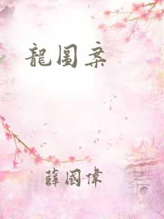 龙图案