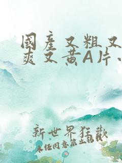 国产又粗又猛又爽又黄A片小说