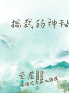 总裁的神秘情人