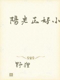 阳光正好小说