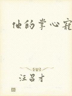 他的掌心宠