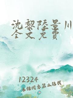 沈黎陆景川小说全文免费