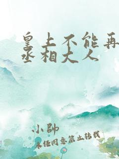 皇上不能再进了丞相大人
