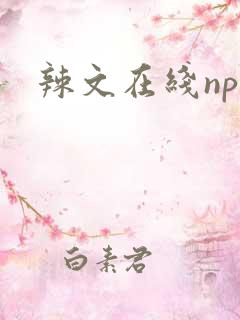 辣文在线np