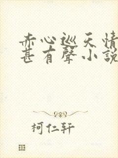 赤心巡天情何以甚有声小说免费全本完整版