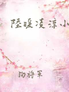陆暖凌淳小说