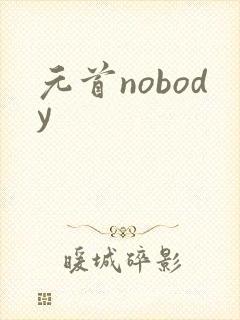 元首nobody