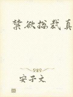 禁欲总裁真能干