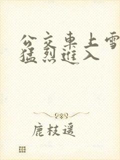 公交车上雪柔被猛烈进入