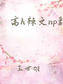 高h辣文np乱