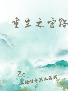 重生之官路情长