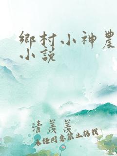 乡村小神农陆凡小说