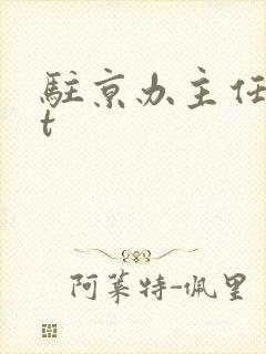 驻京办主任txt