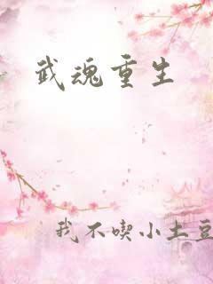 武魂重生