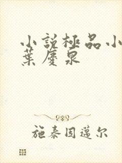 小说极品小农民叶庆泉