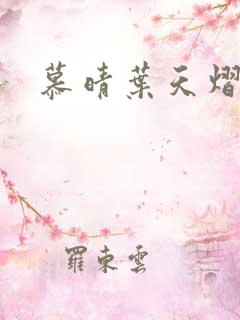 慕晴叶天熠