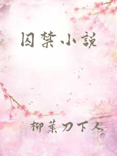 囚禁小说