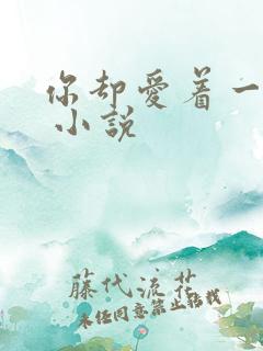 你却爱着一个他 小说