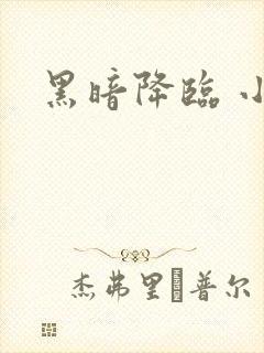黑暗降临 小说