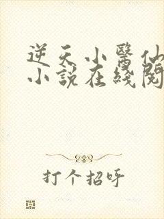 逆天小医仙陈平小说在线阅读