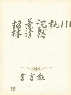 招惹沉执11H林清然