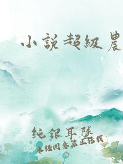 小说超级农民