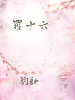 罗十六