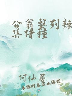 公翁系列辣文全集借种