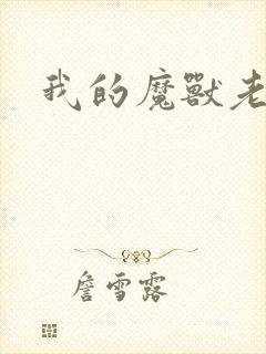 我的魔兽老婆