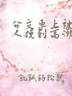 公交车上被陌生人摸到高潮