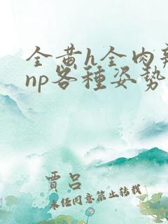 全黄h全肉辣文np各种姿势调教
