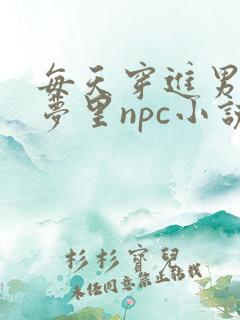 每天穿进男神的梦里npc小说txt