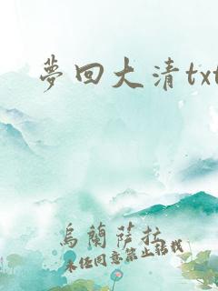 梦回大清txt