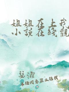 姐姐在上我在下小说在线观看