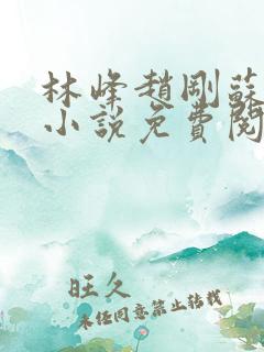 林峰赵刚苏柔的小说免费阅读