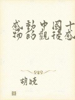 感动中国十大人物的观后感800字