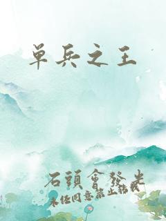 单兵之王