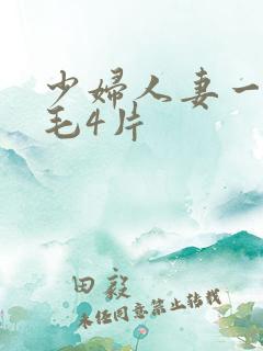 少妇人妻一级a毛4片