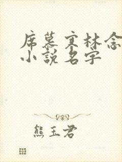 席慕寒林念儿的小说名字