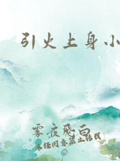 引火上身小说