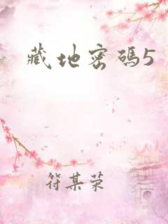 藏地密码5