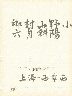 乡村山野小神医六月斜阳
