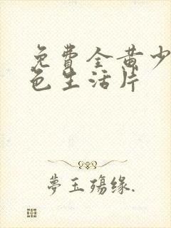 免费全黄少妇性色生活片