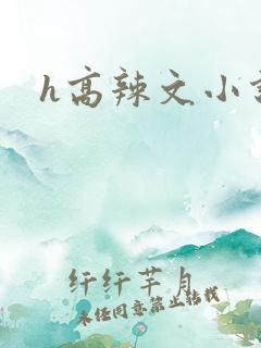 h高辣文小说