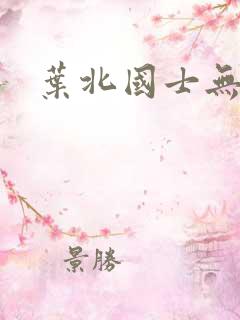 叶北国士无双