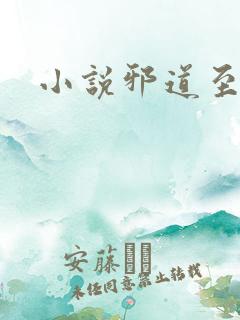 小说邪道至尊