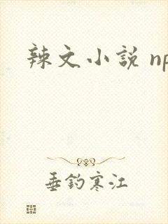 辣文小说 np